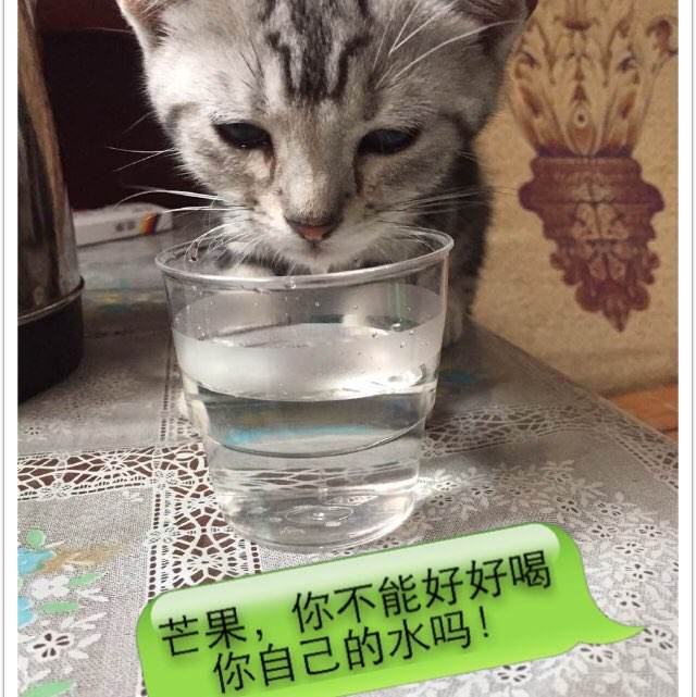 建（构）筑物消防员资格证模板/图片
